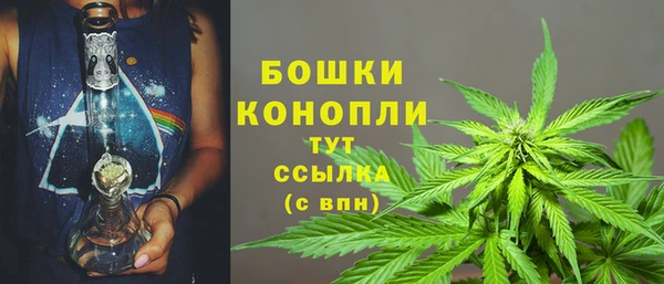трава Верхний Тагил