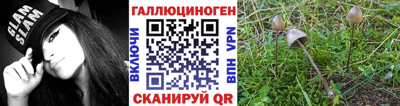 darknet телеграм  Рузаевка  Галлюциногенные грибы прущие грибы  купить закладку 