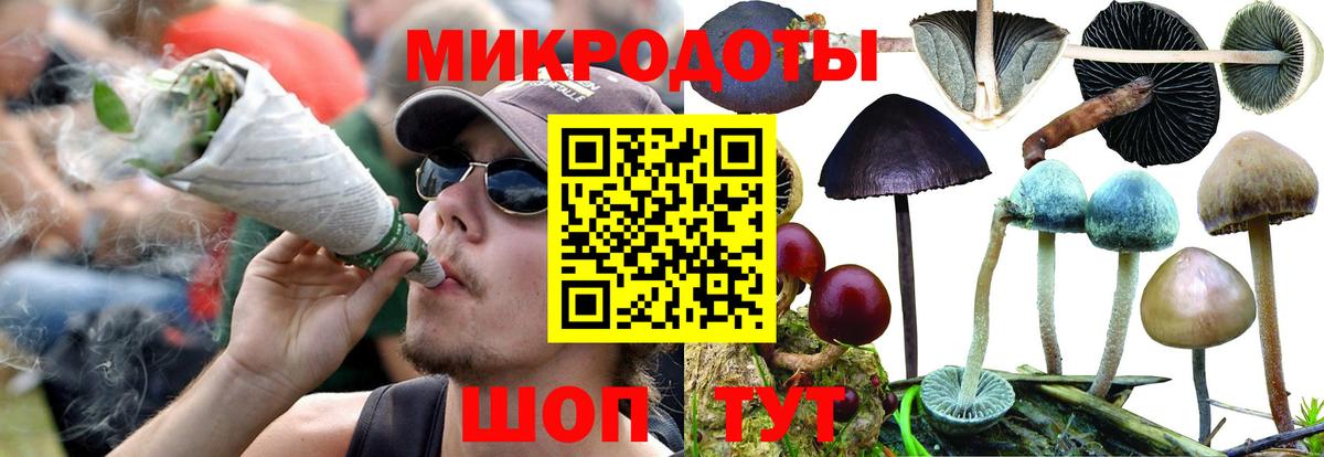 Рузаевка  как найти наркотики  Вход с VPN  Галлюциногенные грибы ЛСД  Псилоцибиновые грибы мицелий 